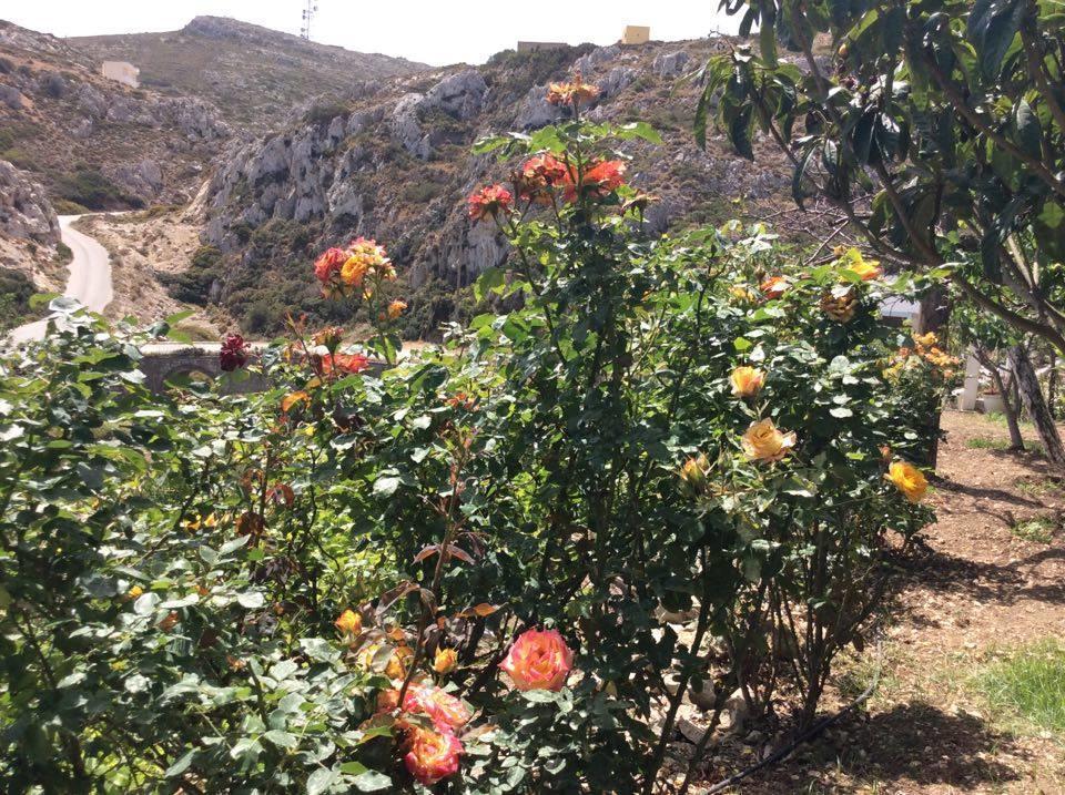 La Villa Di Zazopetra Menetaí Екстериор снимка