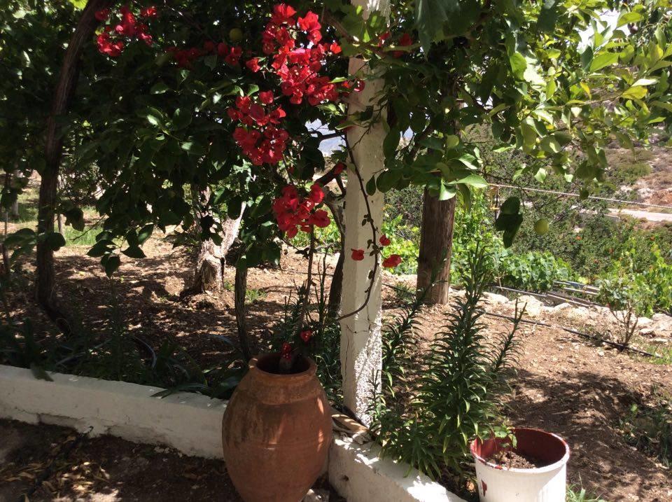 La Villa Di Zazopetra Menetaí Екстериор снимка