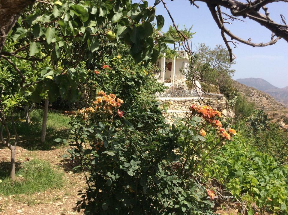 La Villa Di Zazopetra Menetaí Екстериор снимка
