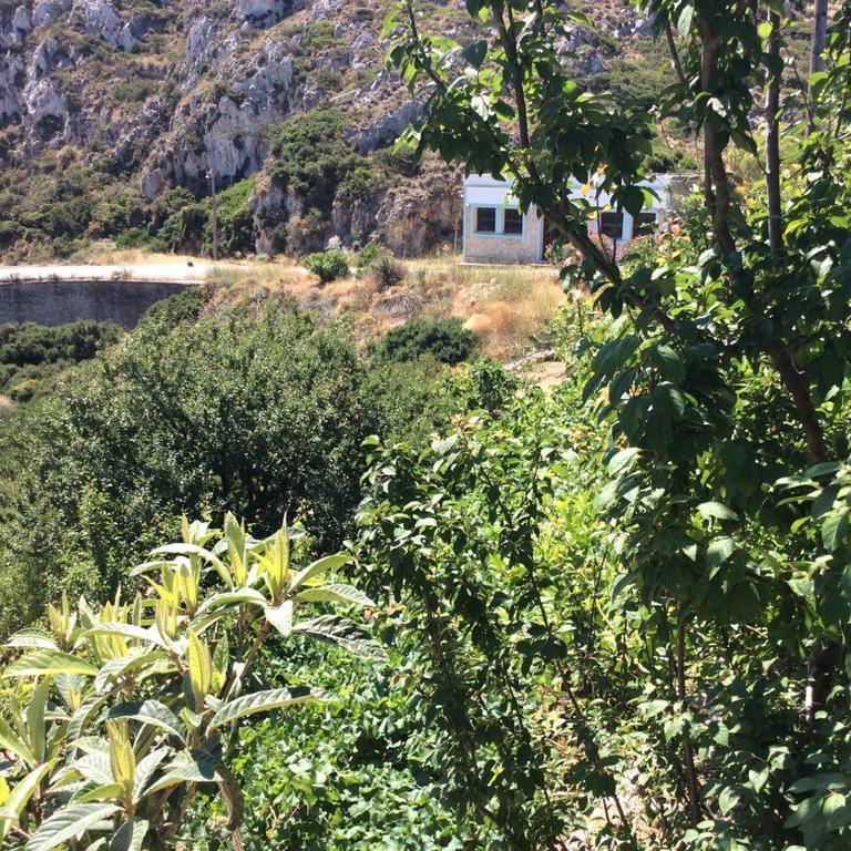 La Villa Di Zazopetra Menetaí Екстериор снимка
