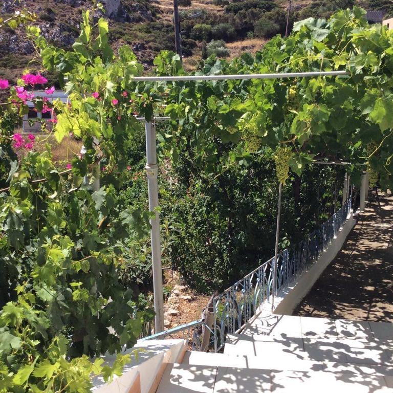 La Villa Di Zazopetra Menetaí Екстериор снимка
