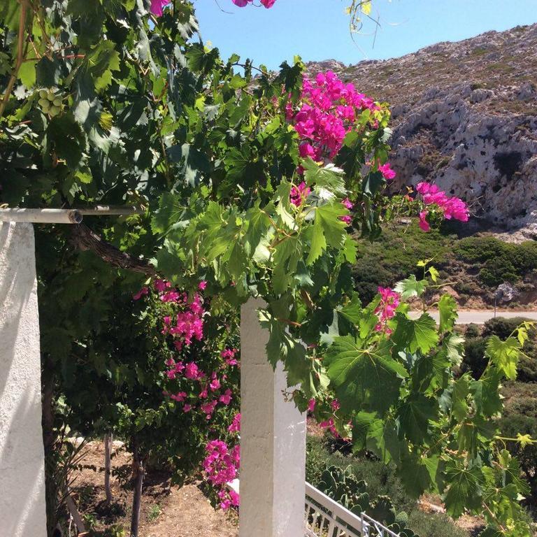 La Villa Di Zazopetra Menetaí Екстериор снимка
