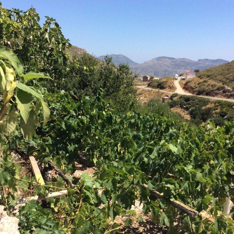 La Villa Di Zazopetra Menetaí Екстериор снимка
